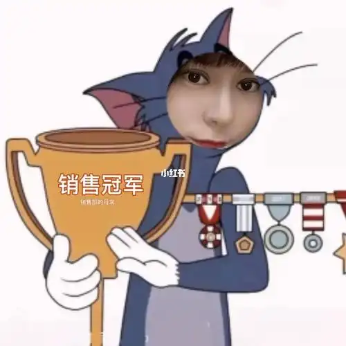 请大数据把我推给全国销冠