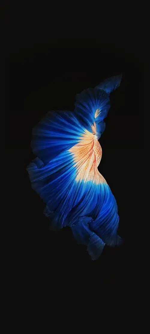 屯的黑色系壁纸持续更新