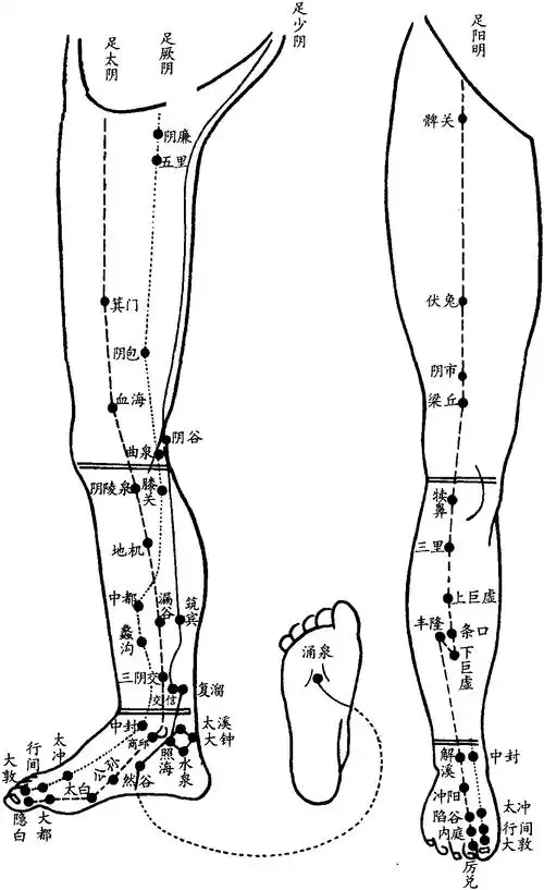 黄帝内经集解素问
