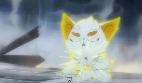 京剧猫:白糖表面乐观,内心也有不安的时候,对友情极其珍惜