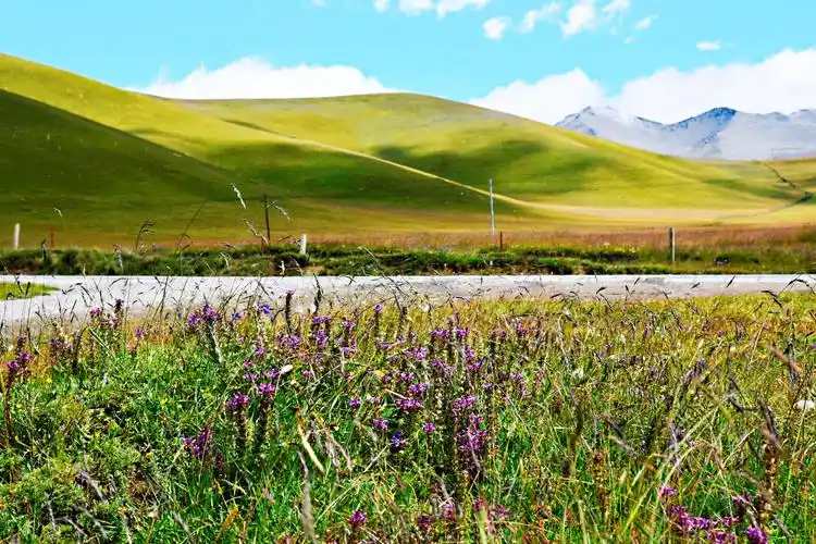 壮丽山河 大美甘青