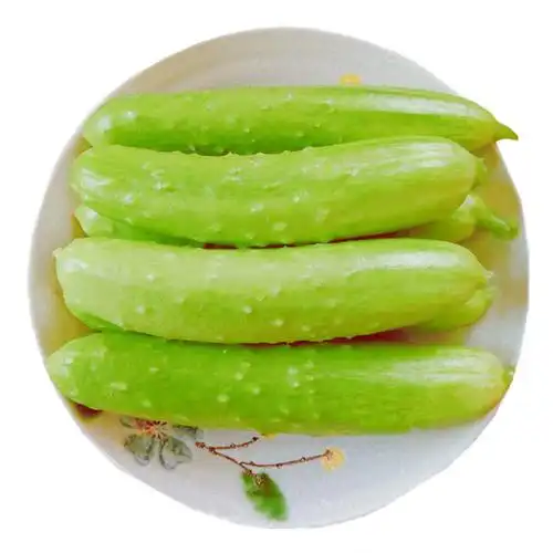 黄瓜海阳白黄瓜白玉小青瓜水果新鲜蔬菜脆甜生吃黄瓜