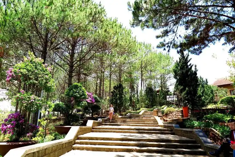 p>竹林禅院是香港市中心区的最大佛寺,位于中国香港的新界之荃湾区