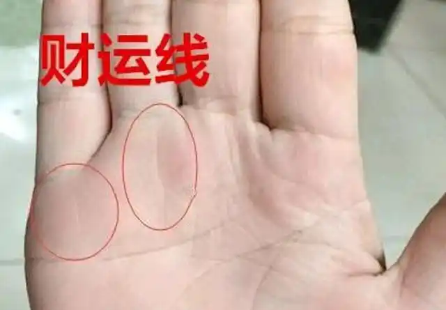 算命的说:亿万富翁的手相,十人有九贵,注定不差钱