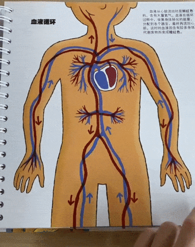 饭为什么会变成屎读了20年书居然被小朋友问倒了