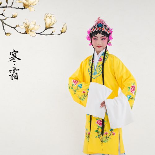 京剧越剧戏剧黄梅戏服装青衣儿童花旦戏服戏曲民族服装