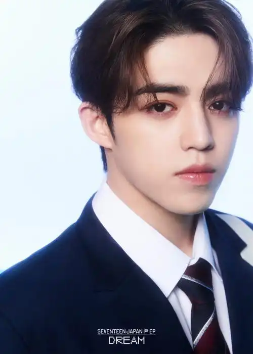 seventeen日专dreamhiphopteam预告照