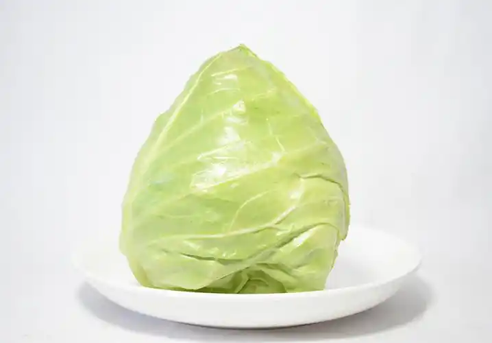 尖包菜(农户王木元)规格可选