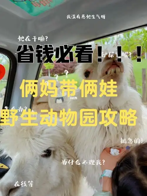 三刷北京野生动物园,注意事项7215