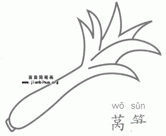 莴笋简笔画图片教程