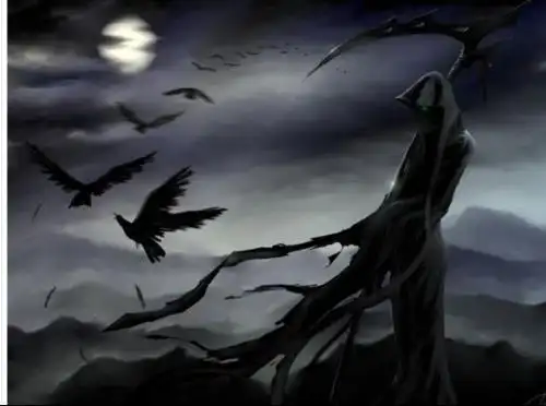 求乌鸦主题的动漫图