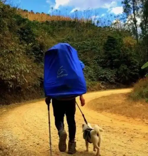 徐金元,小白.一个人一条狗,一种信仰一种忠诚