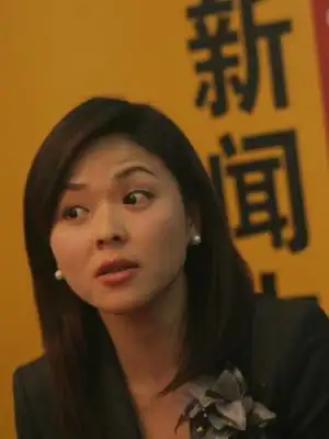 凤凰卫视主持人谢亚芳做客搜狐谈两会采访