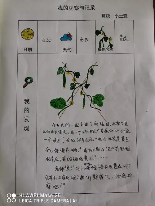 快乐种植 幸福收获———木城中心幼儿园小二班种植园《"瓜趣横生"》