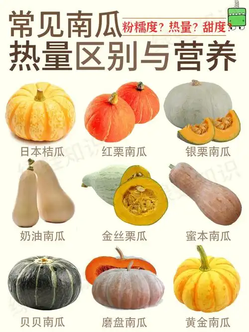 原来一直吃错了60南瓜热量70脂竟然更适合