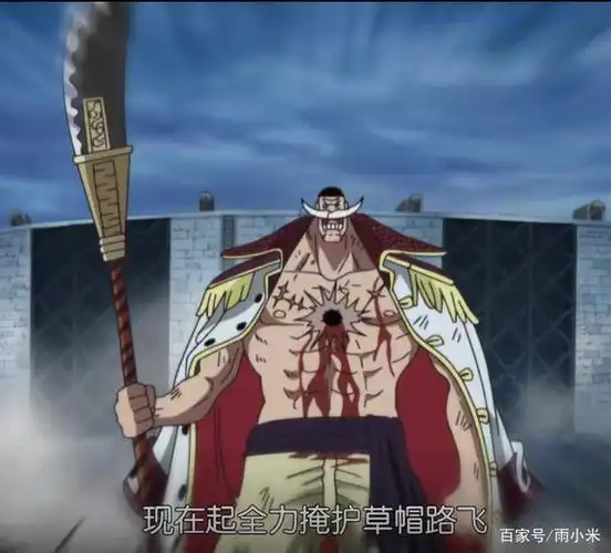 顶上战争白胡子为何全力保护路飞冲向处刑台?因为一人的出手