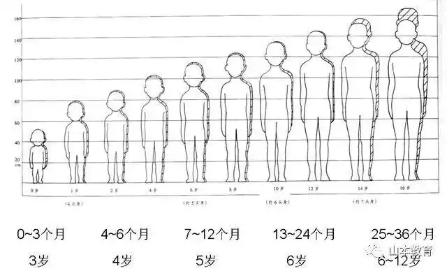 服装打版裁剪缝制童装儿童体型特征