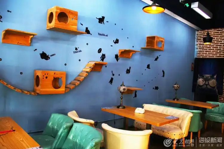 在这里,客人们不仅仅享受咖啡甜点,还可以与生活在馆中的猫"沟通".