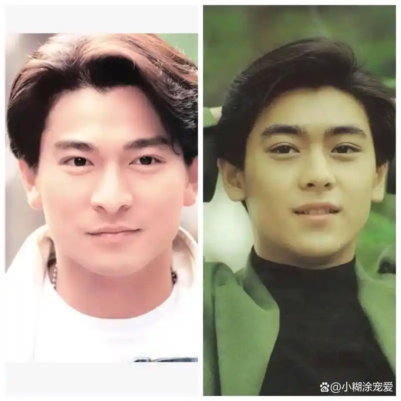 刘德华和林志颖同框合影谁更帅?