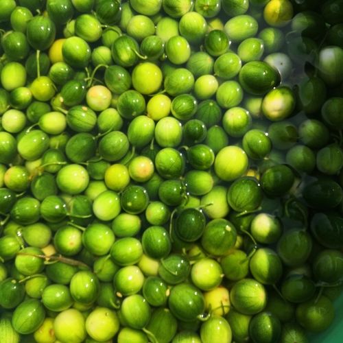 野瓜干 马泡瓜 野生 自然晾晒 泡水喝 小野瓜小香瓜 100克试用【图片