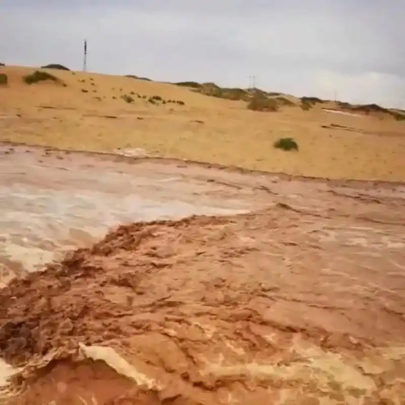 沙漠竟然发洪水了,你敢相信吗!