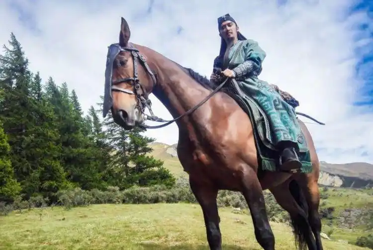 三国无双举办发布会,韩庚挑大梁演关羽,古天乐被赞最帅吕布