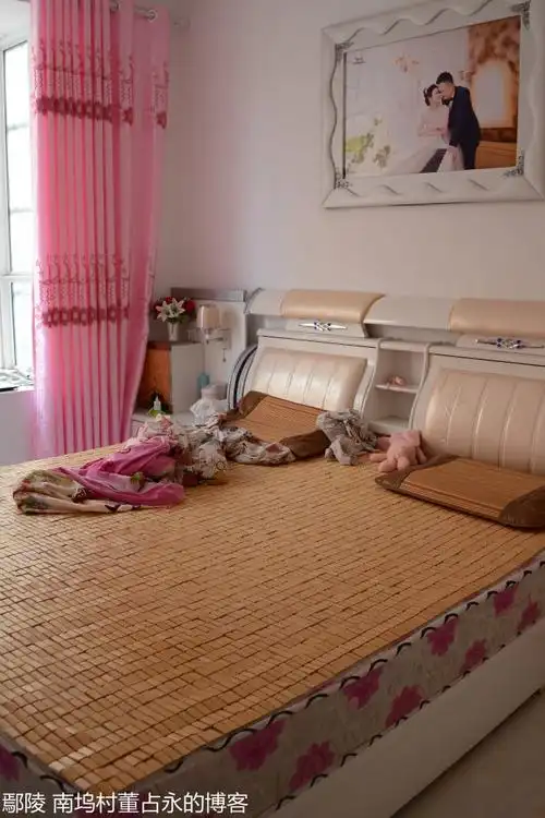 图片乡村:新型农村社区住户生活实录(河南省许昌市鄢陵县南坞镇程庄村