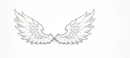恶魔翅膀画法简笔画