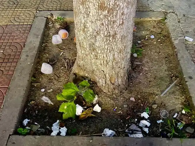 这些不文明行为和现象,你是否"榜上有名"(十八)!