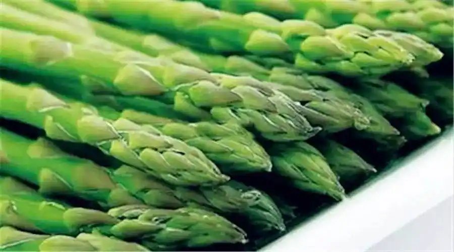 八种夏季时令养生蔬菜