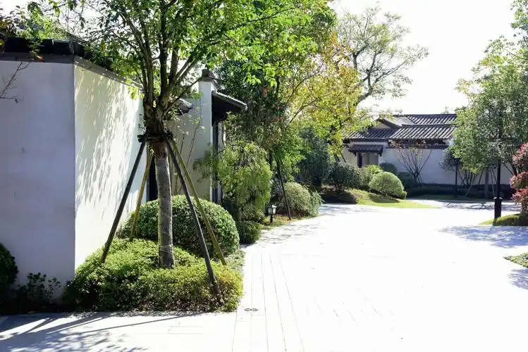 其它 桃李春风掠影 : 摄影 姜延宁 写美篇  桃李春风是杭州市临安区的