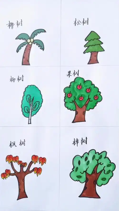 [简笔画]小朋友能正确区分这几种树吗?