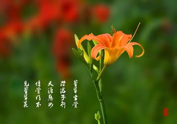 蚂蚁庄园5月9日答案最新