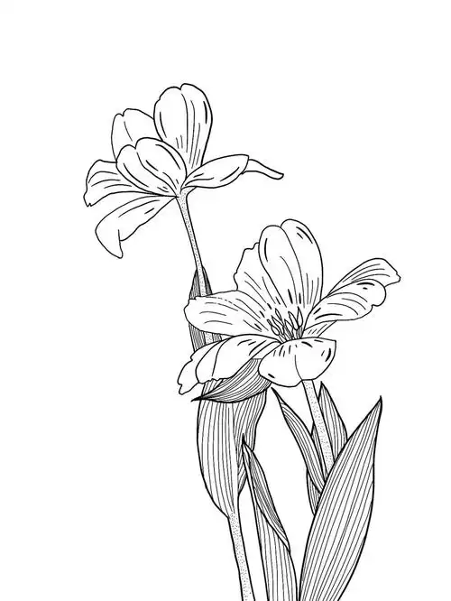 周末在家画个花