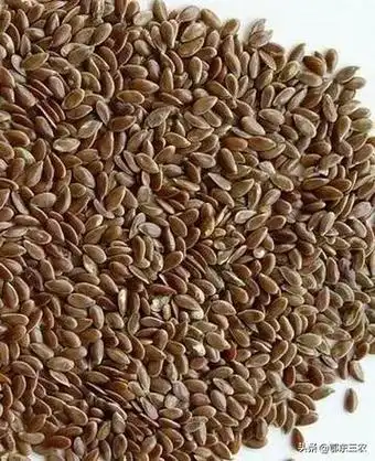 胡麻油是什么,胡麻油是什么油(胡麻是"油料之王")_犇涌向乾