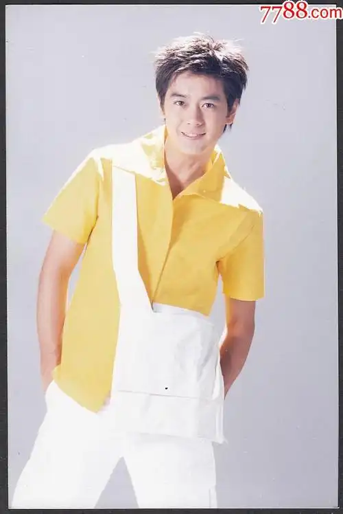 著名影星系列林志颖