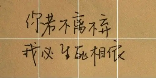 求qq名片照片墙八组图 愿得一人心 白首不相离 文字图