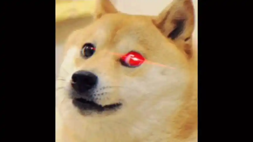 黑历史#红眼狗头