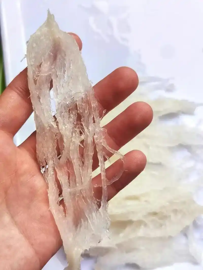 越南燕窝,自然的馈赠