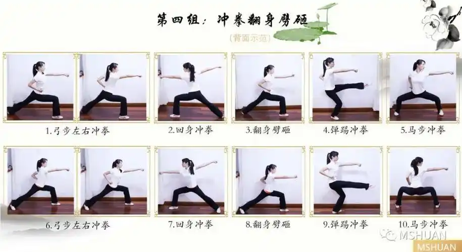 体育与健身学科微课少年连环拳四