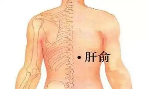 艾灸肝俞的功效艾灸肝俞位置图片