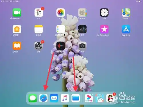 ipad怎么分屏不是悬浮窗