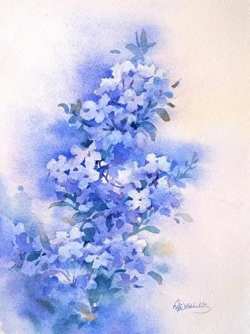水彩教程文字讲解画一张小小蓝雪花