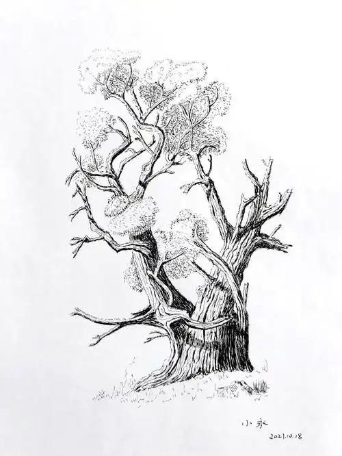 但完全不会,就一边临摹,一边自己"发挥",至少掌握了一种树干的画法