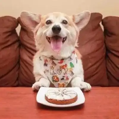 情侣头像丨如果你特无聊,我们就一起聊