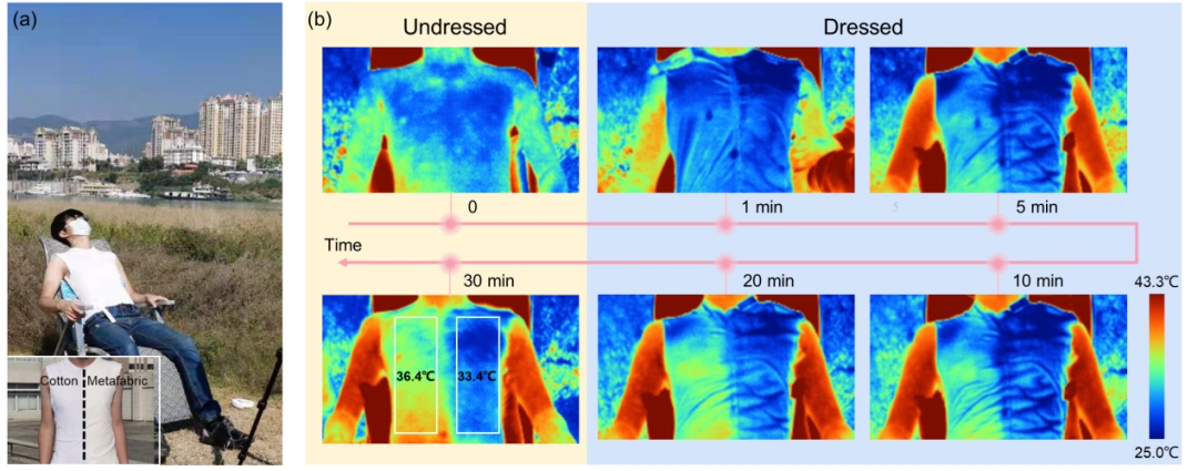 (b) 超材料织物人体降温测试红外图