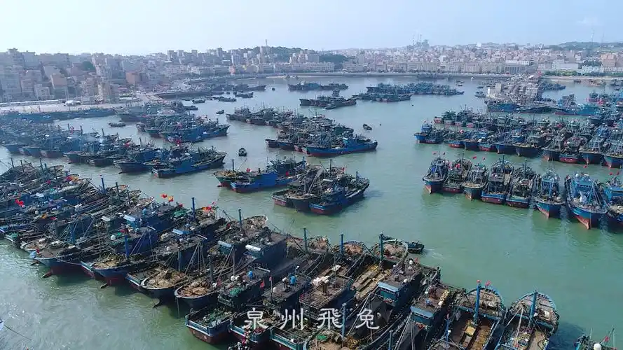 航拍泉州 石狮祥芝国家渔港