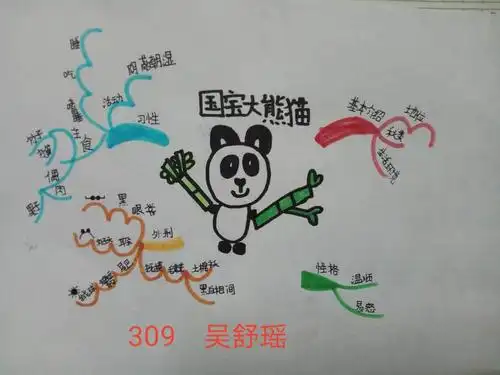 巧用思维导图,有效习作 《国宝大熊猫》 309班 作文赏析