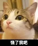 饶了我吧表情包 - 表情图