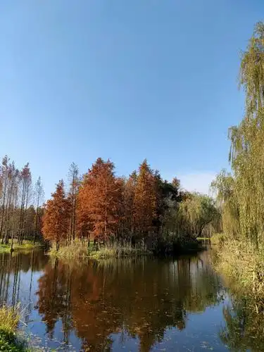 上海青浦郊野公园